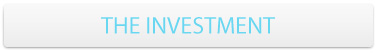 The Investment
